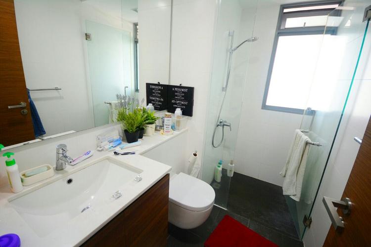 Double Bay Residences (D18), Condominium #79129632